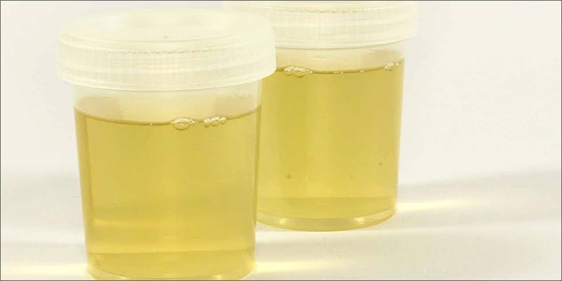 Synthetic Urine In Bottle Atlanta GA 30398